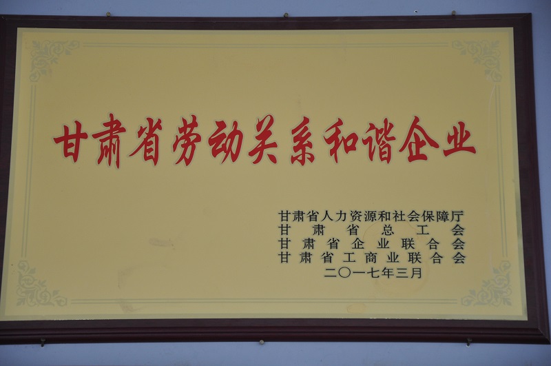 甘肅省勞動(dòng)關(guān)系和諧企業(yè).JPG